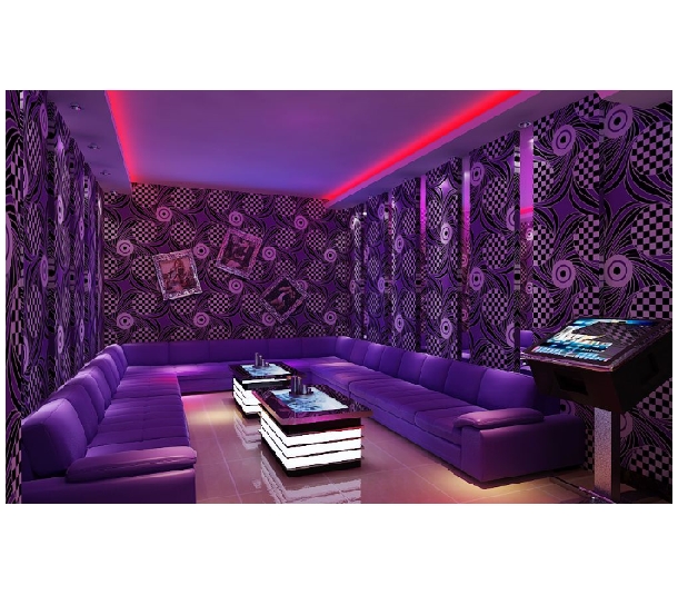 我國專業(yè)音響的發(fā)展前景